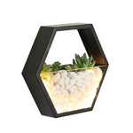 Plant wall lamp - Babies Hunt